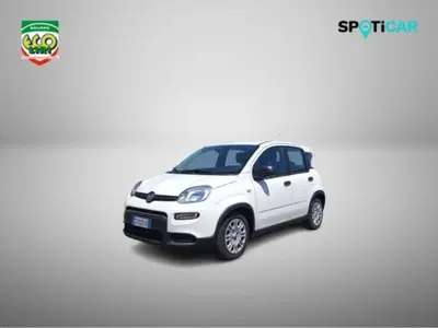 Fiat Panda 1.0 firefly hybrid s&amp;s 70cv 5p.ti del 2024 usata a San Giorgio a Liri