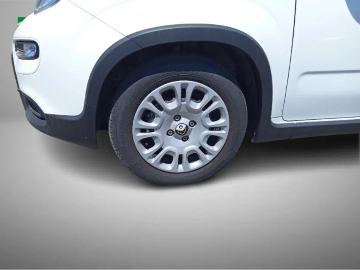 Fiat Panda usata a Frosinone (15)