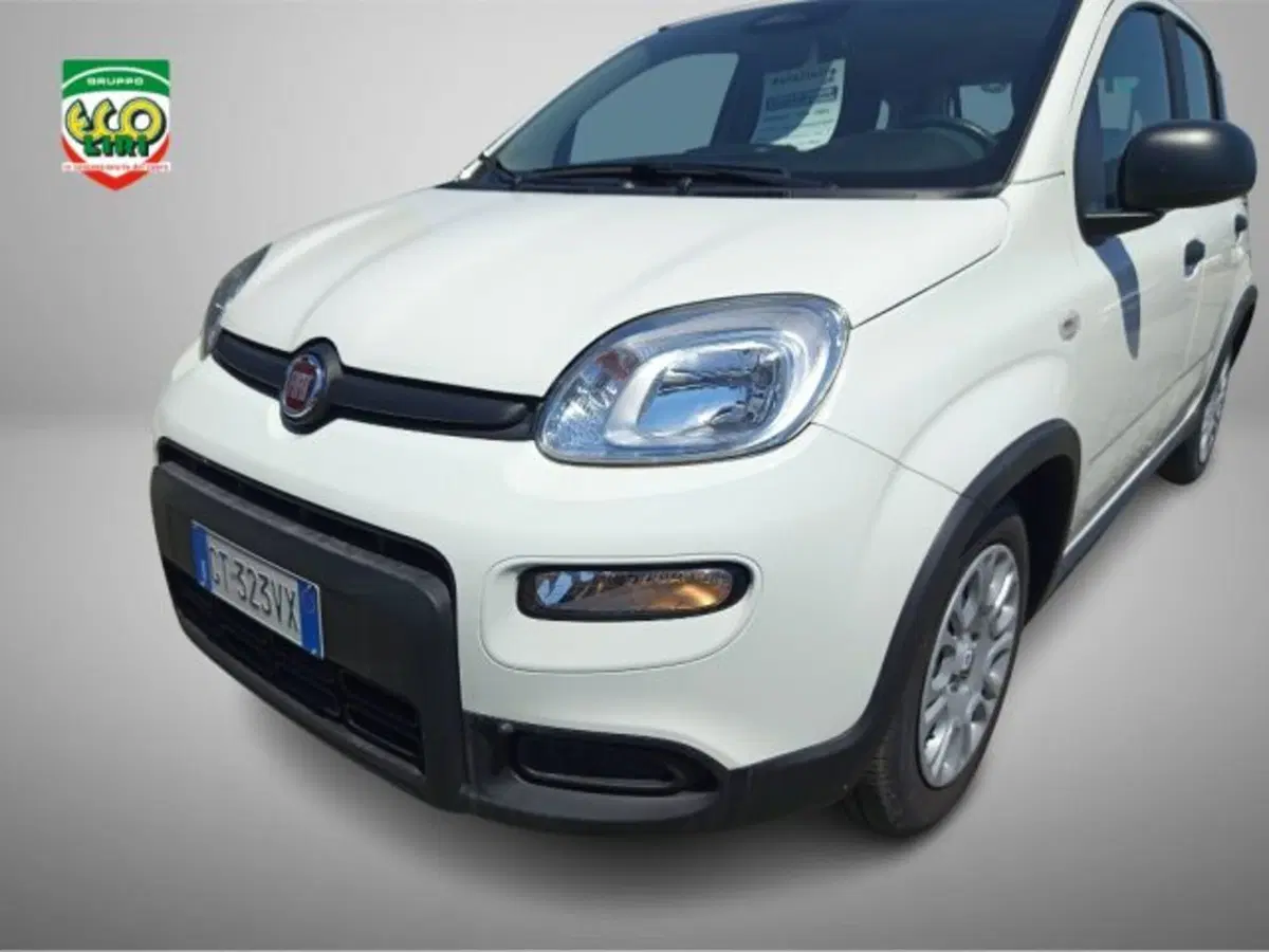 Fiat Panda usata a Frosinone (16)