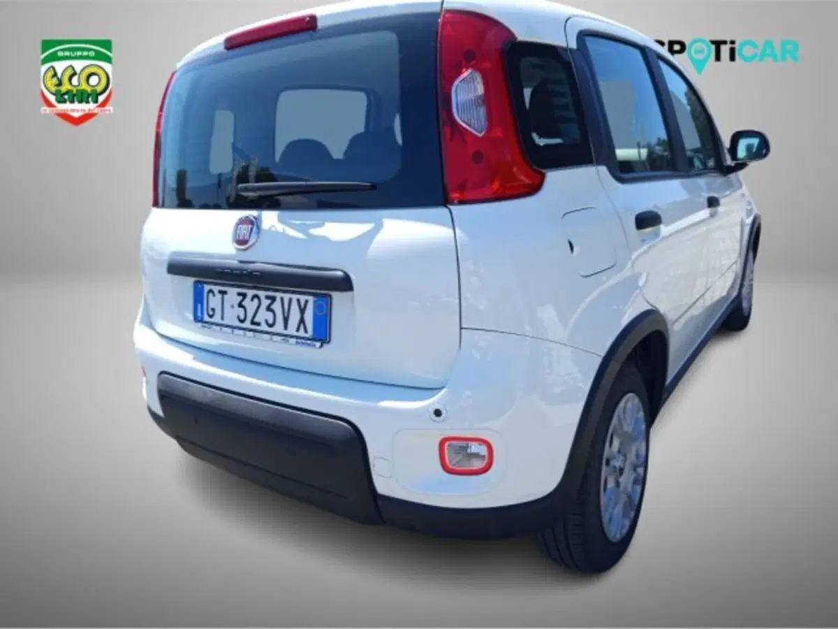 Fiat Panda usata a Frosinone (17)