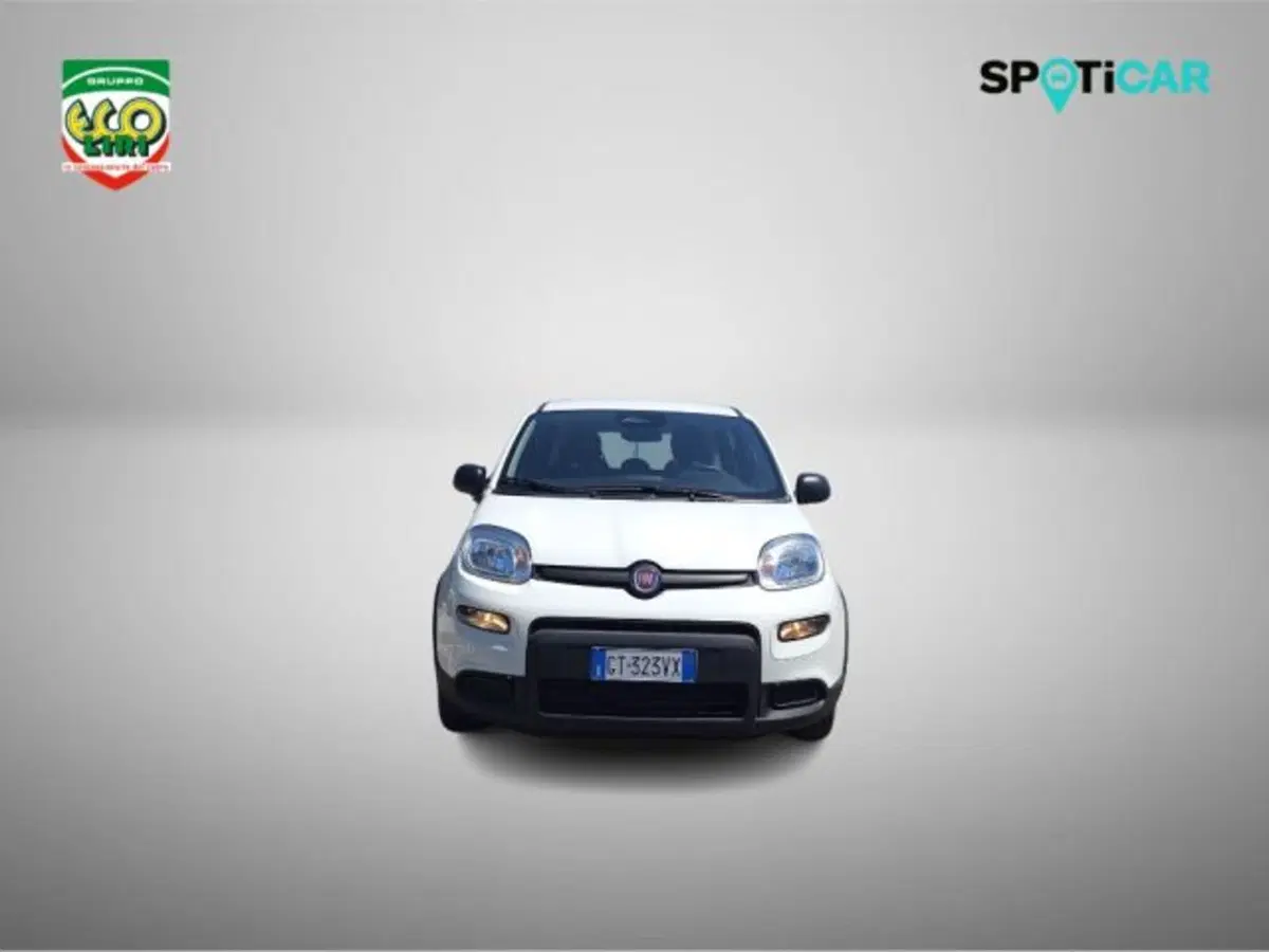Fiat Panda usata a Frosinone (2)