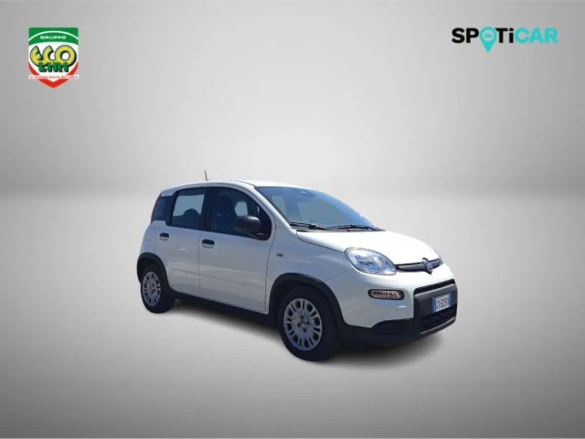 Fiat Panda usata a Frosinone (3)