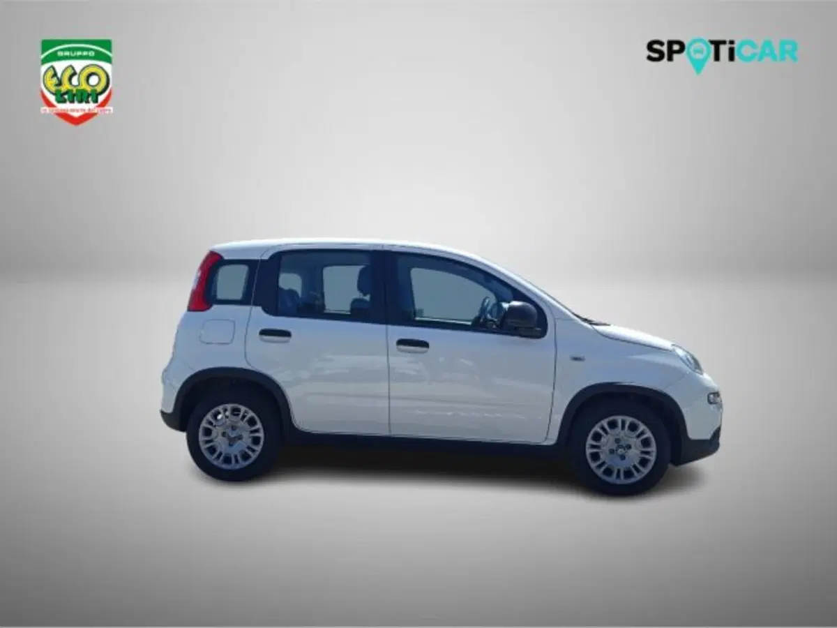 Fiat Panda usata a Frosinone (4)