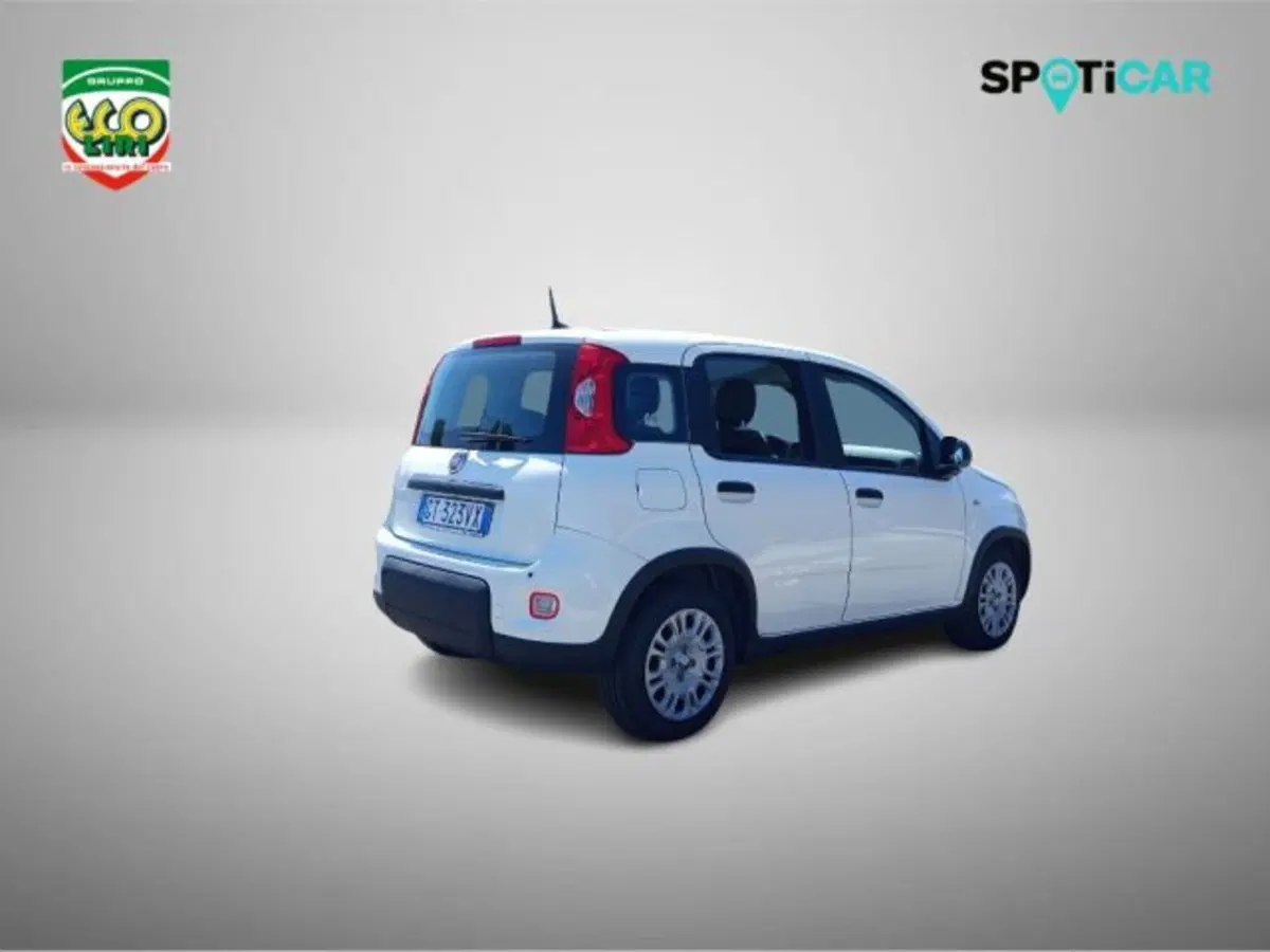 Fiat Panda usata a Frosinone (5)