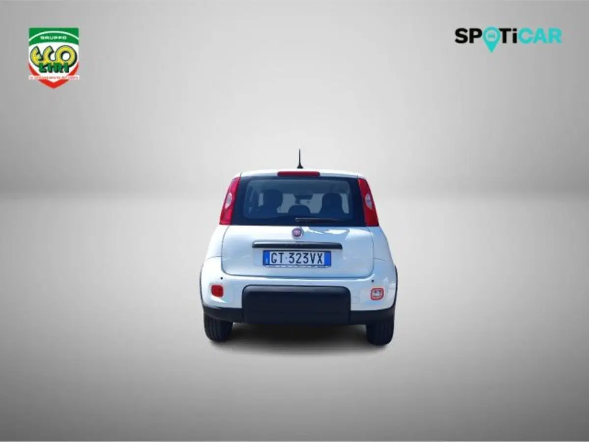 Fiat Panda usata a Frosinone (6)