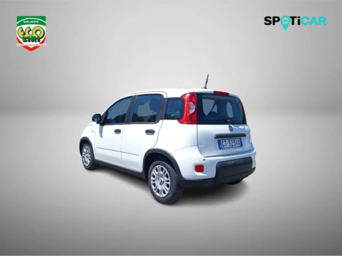 Fiat Panda usata a Frosinone (7)