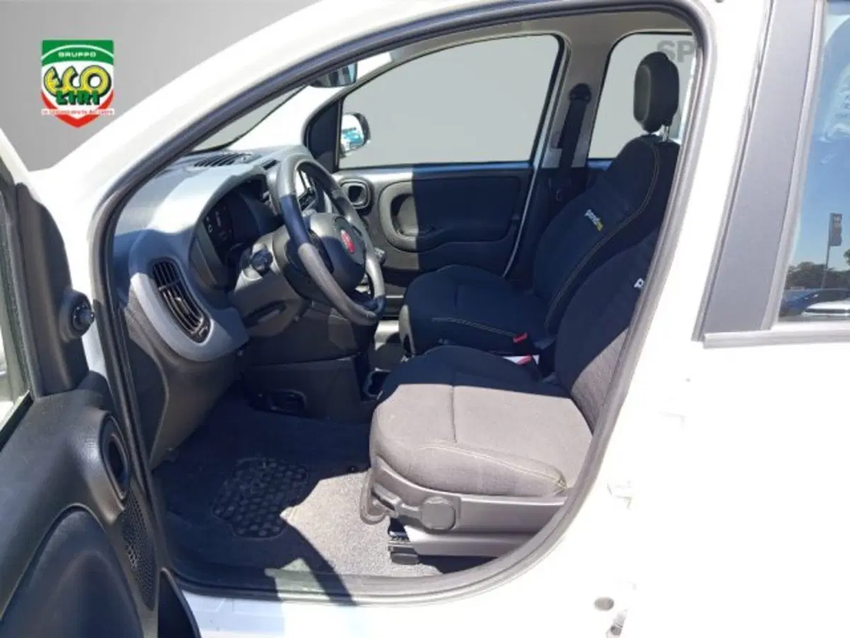Fiat Panda usata a Frosinone (8)
