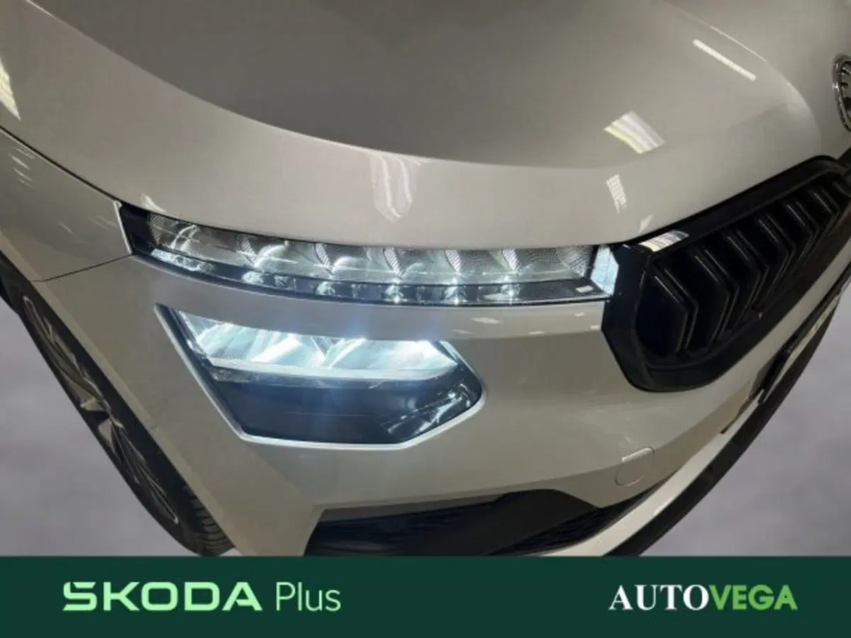 Skoda Kamiq usata a Vicenza (19)