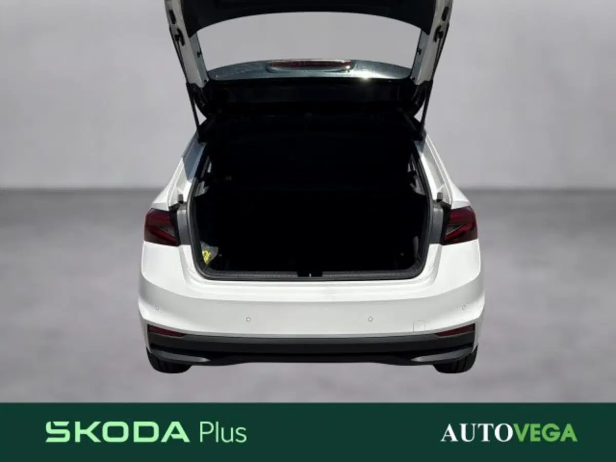 Skoda Fabia usata a Vicenza (17)