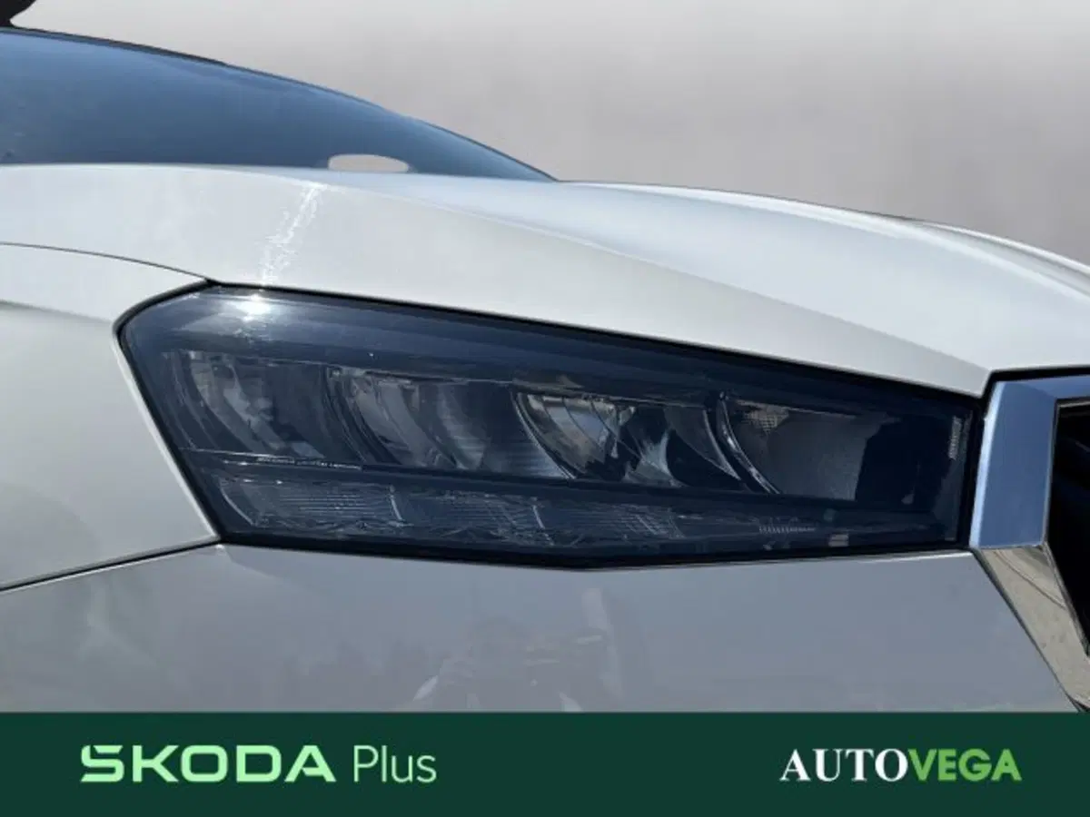 Skoda Fabia usata a Vicenza (19)
