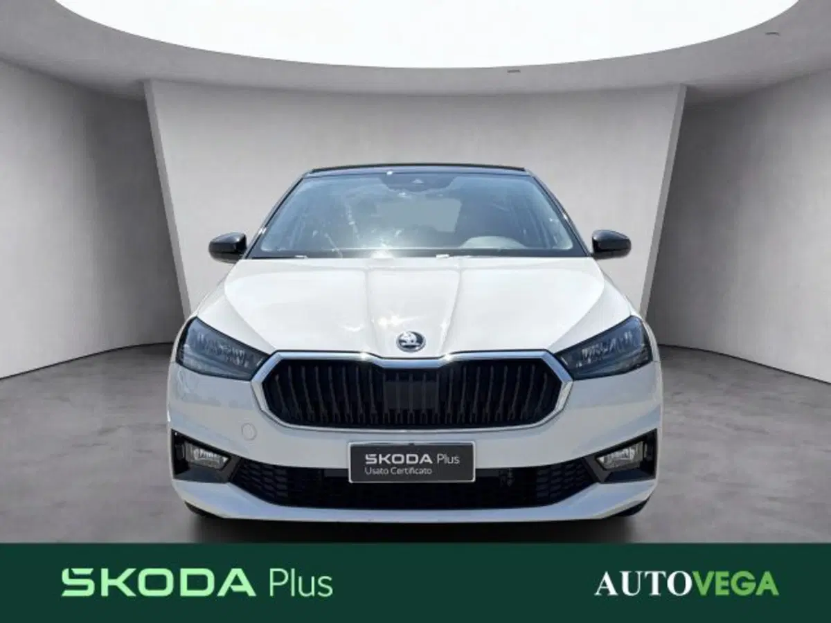 Skoda Fabia usata a Vicenza (2)