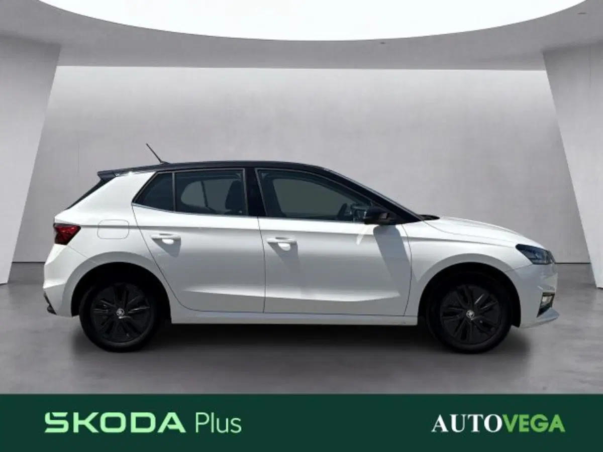 Skoda Fabia usata a Vicenza (3)