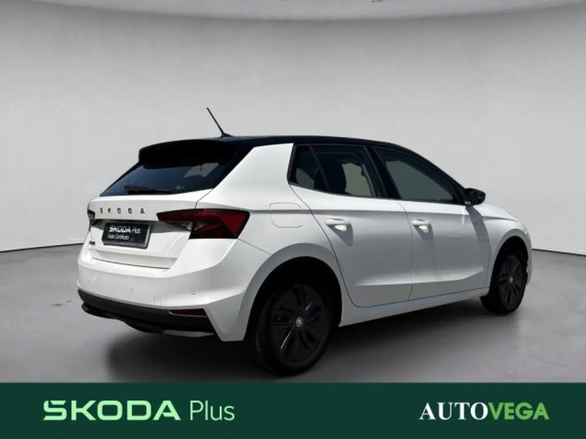 Skoda Fabia usata a Vicenza (4)