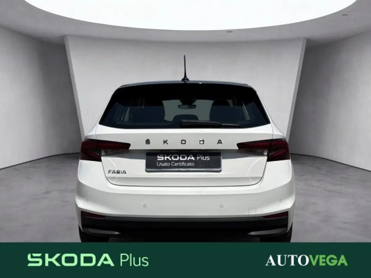 Skoda Fabia usata a Vicenza (5)