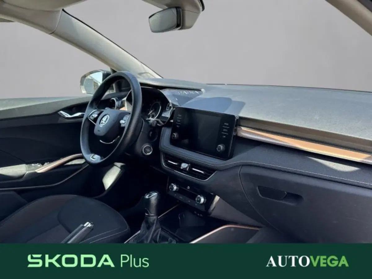 Skoda Fabia usata a Vicenza (6)
