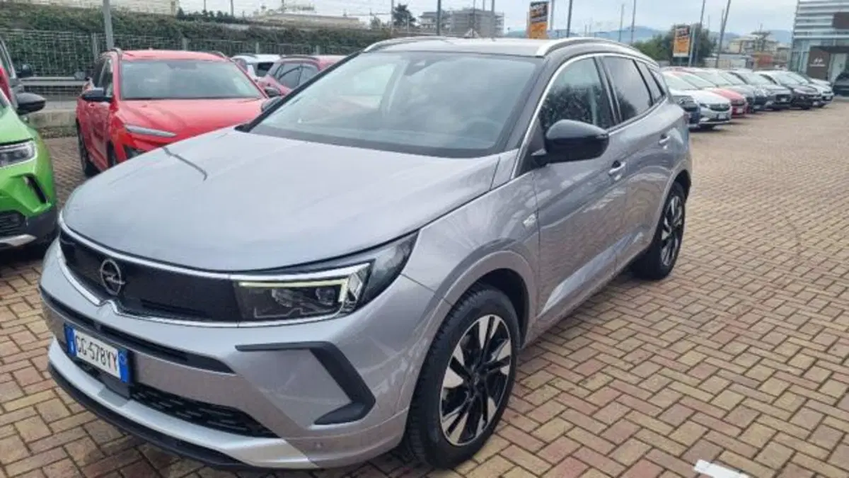 Opel Grandland usata a Savona (2)