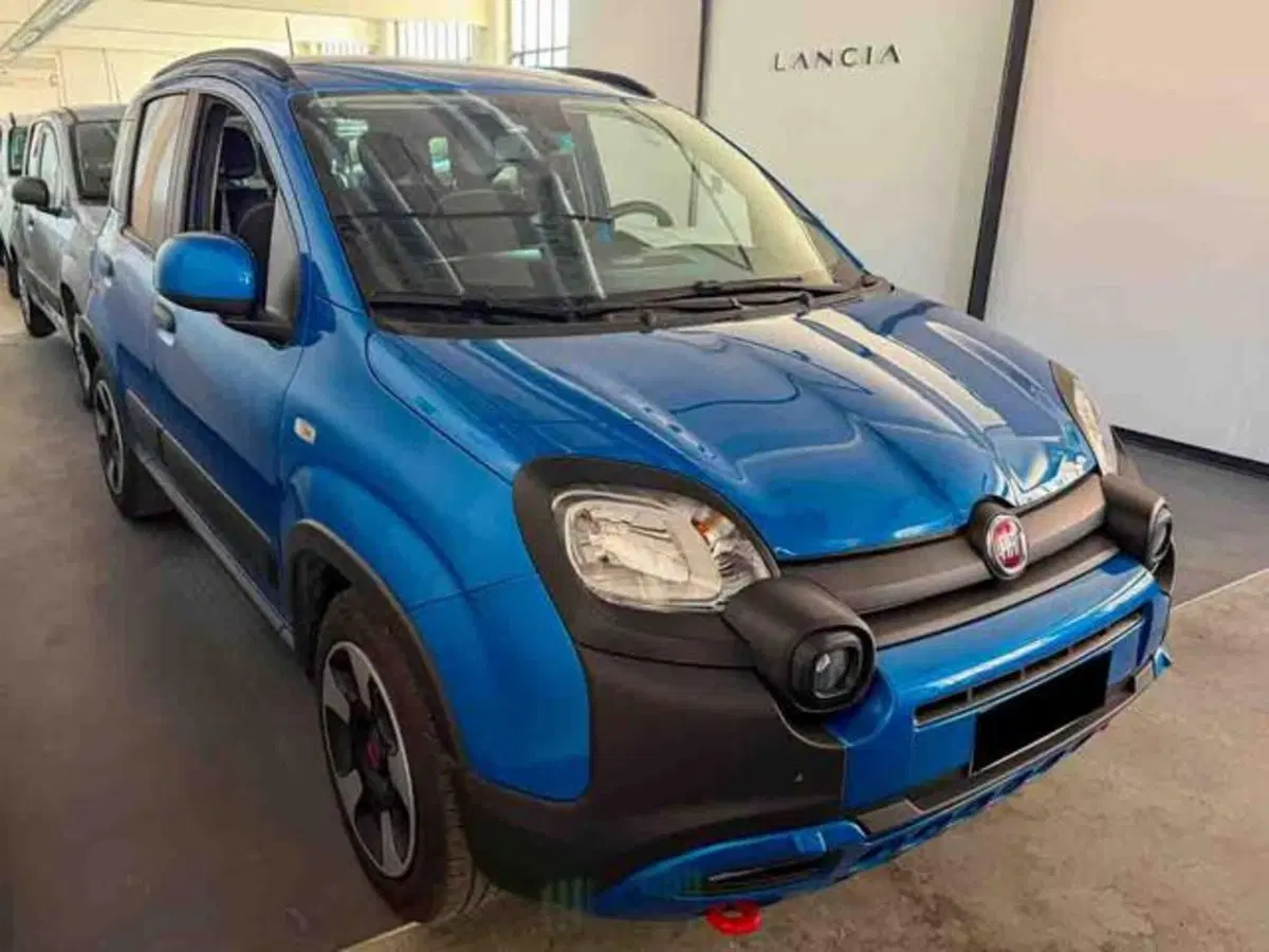 Fiat Panda usata a Torino (3)