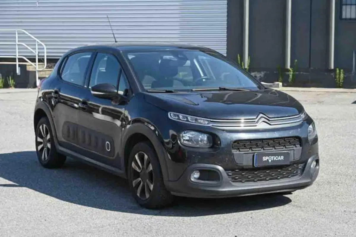 Citroen C3 usata a Torino (2)