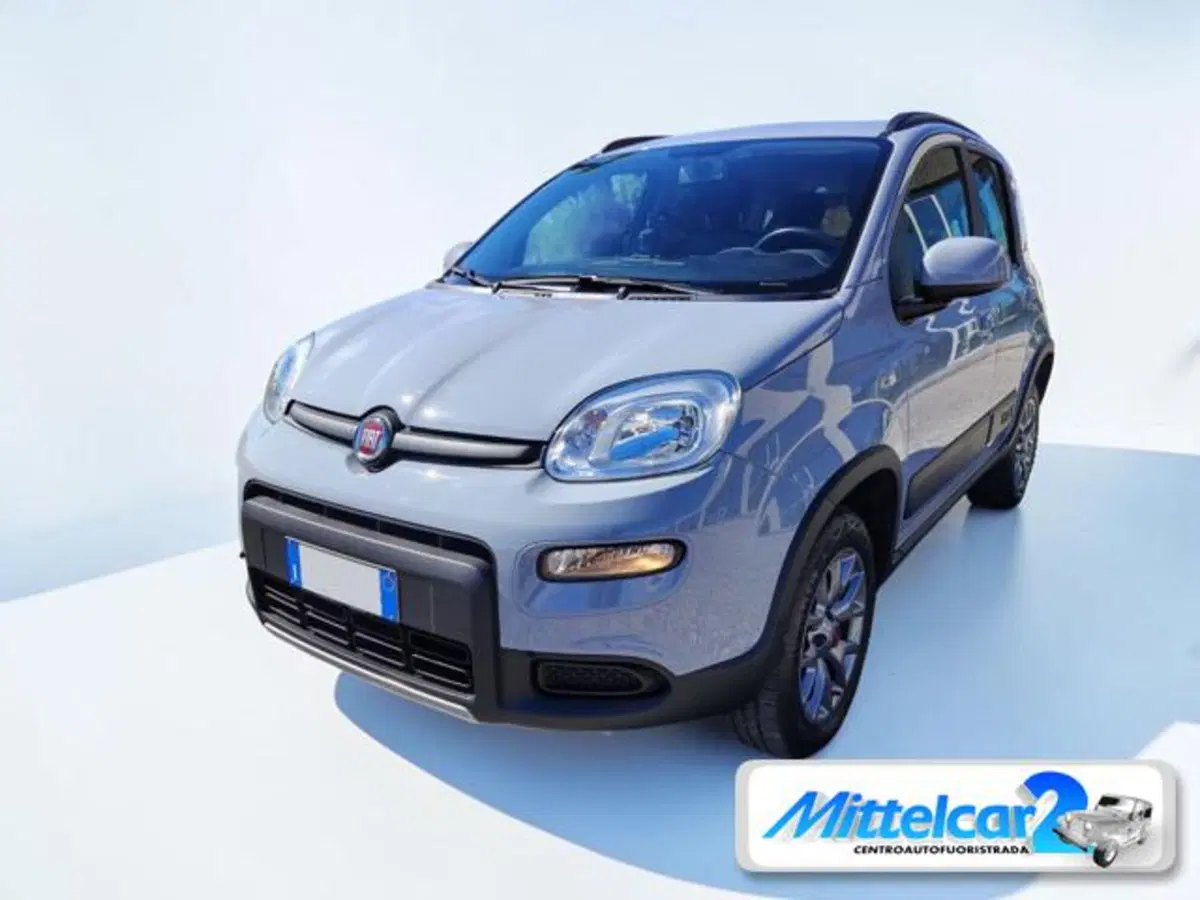 Fiat Panda usata a Udine