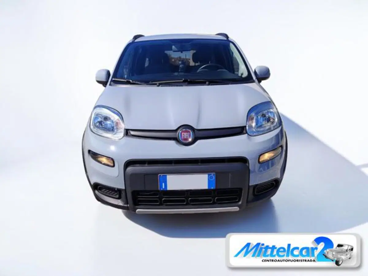 Fiat Panda usata a Udine (2)