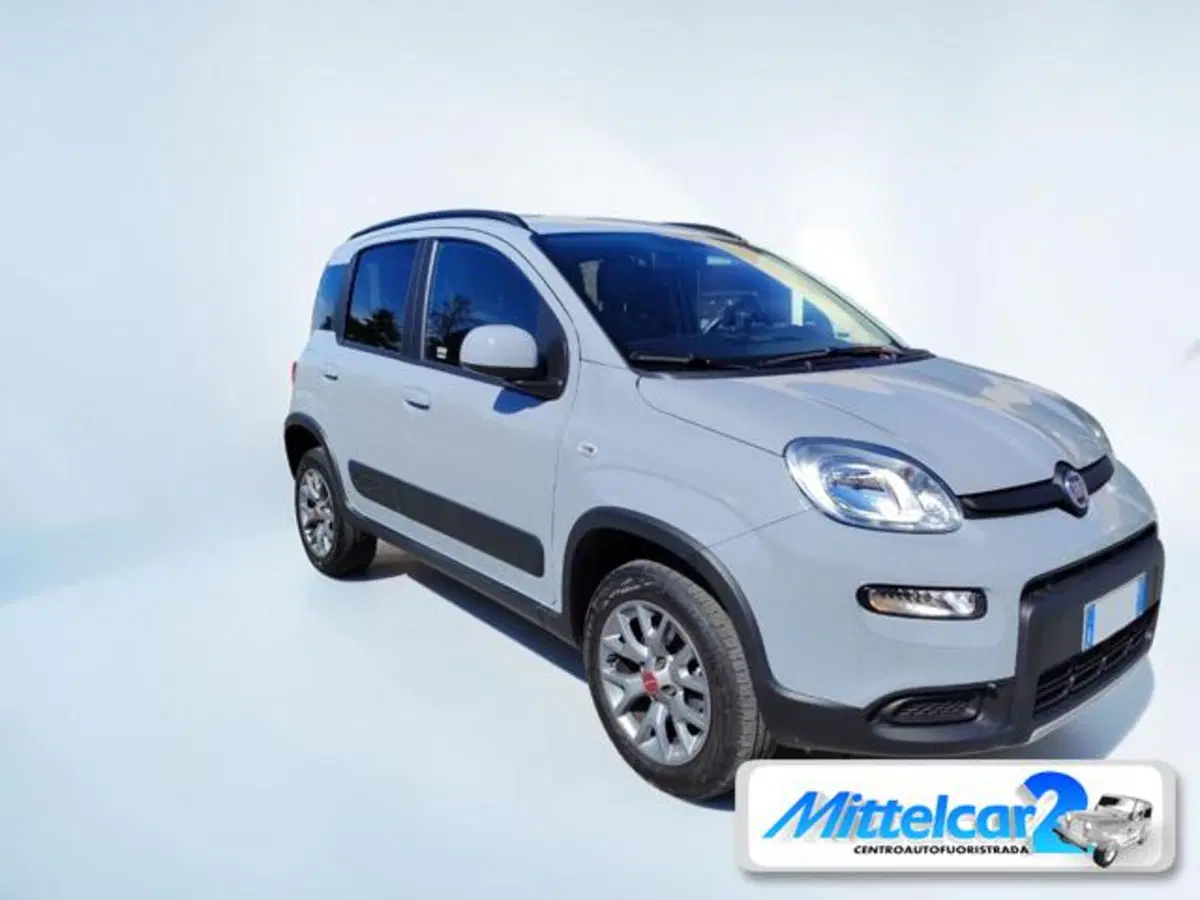 Fiat Panda usata a Udine (8)