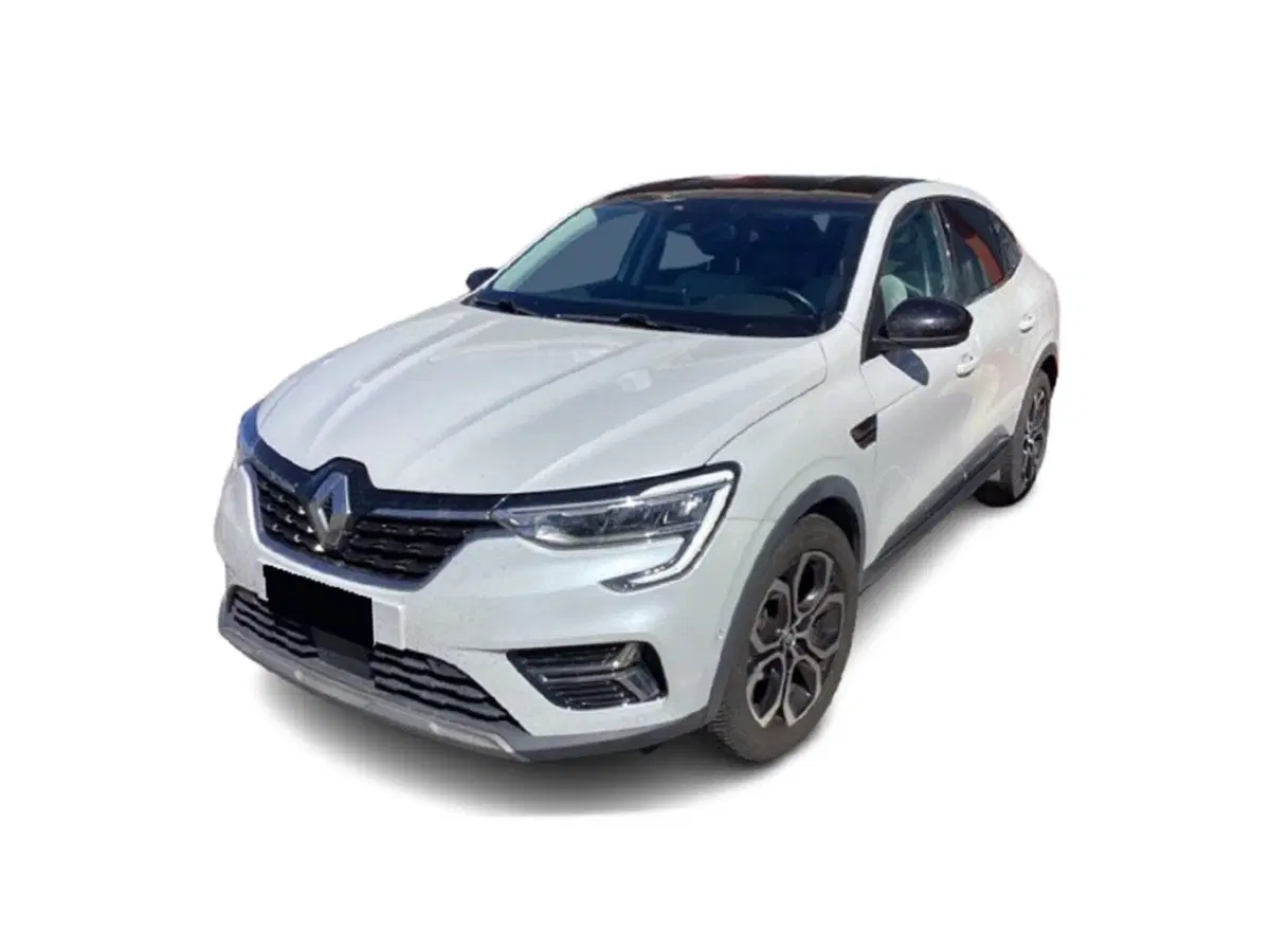 Renault Arkana usata a Bari (12)
