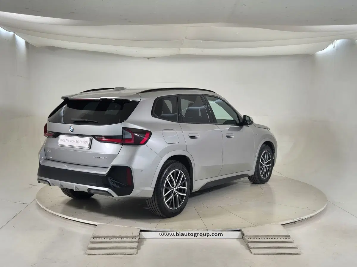 BMW X1 usata a Torino (5)