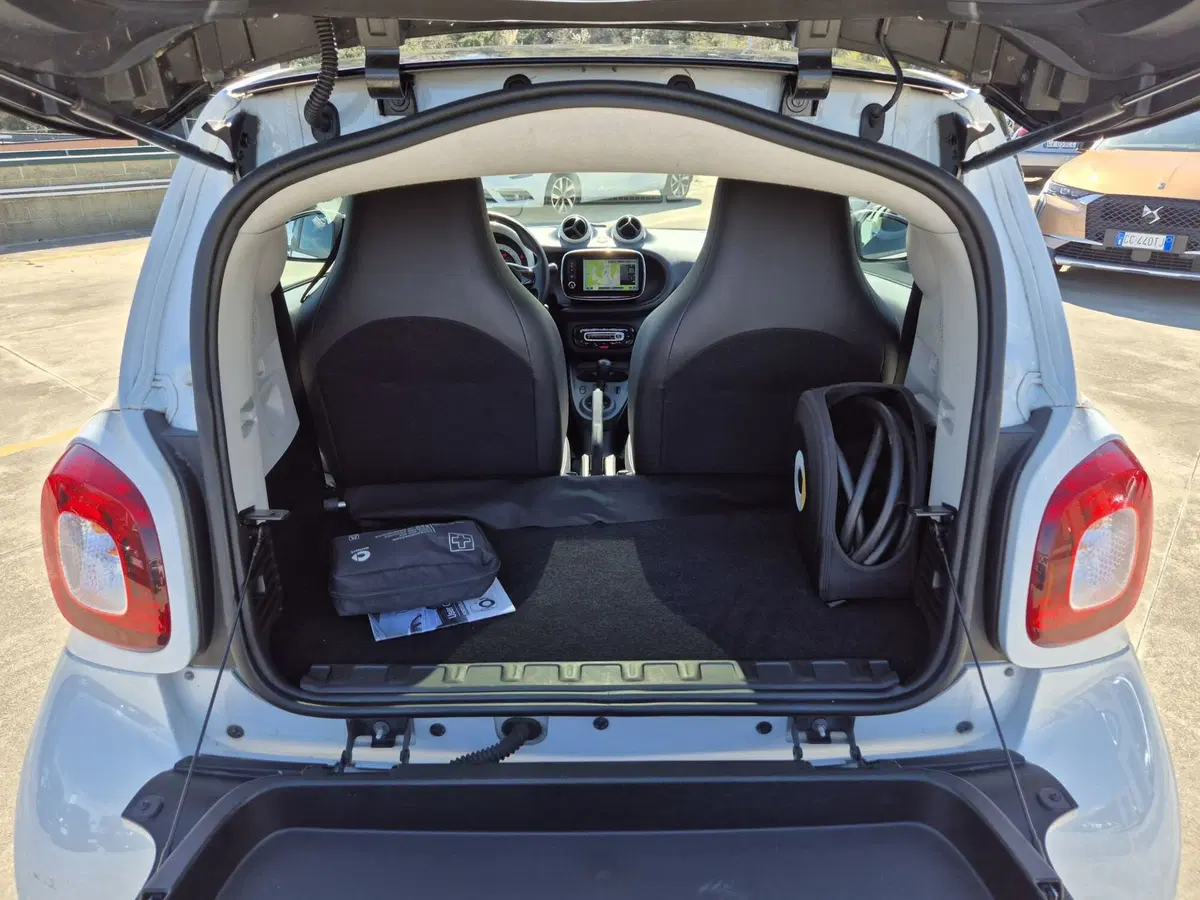 smart Fortwo usata  (11)