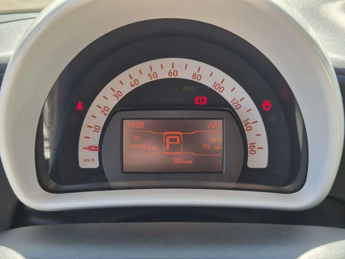 smart Fortwo usata  (13)