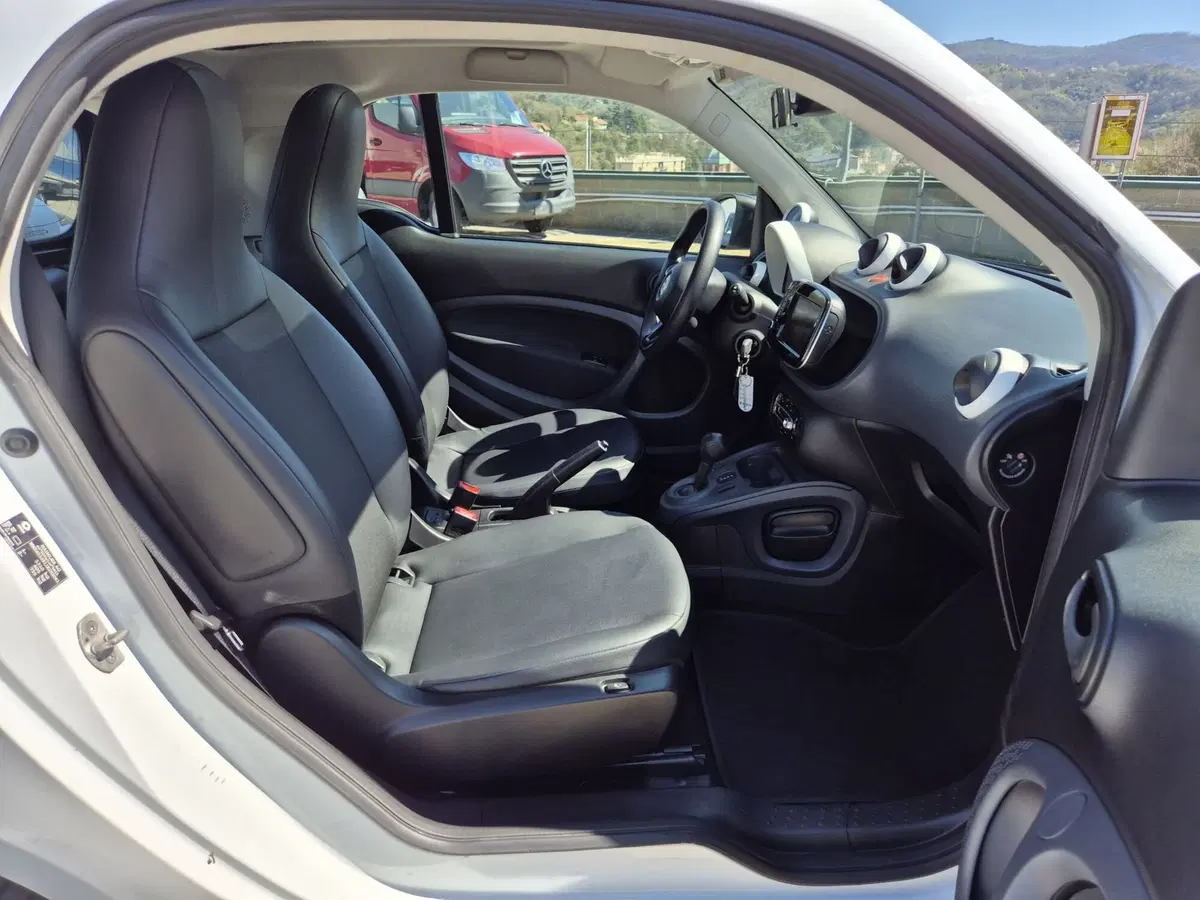 smart Fortwo usata  (8)