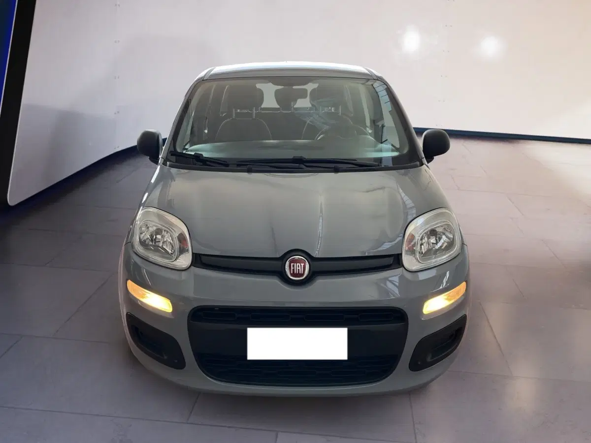 Fiat Panda usata a Torino