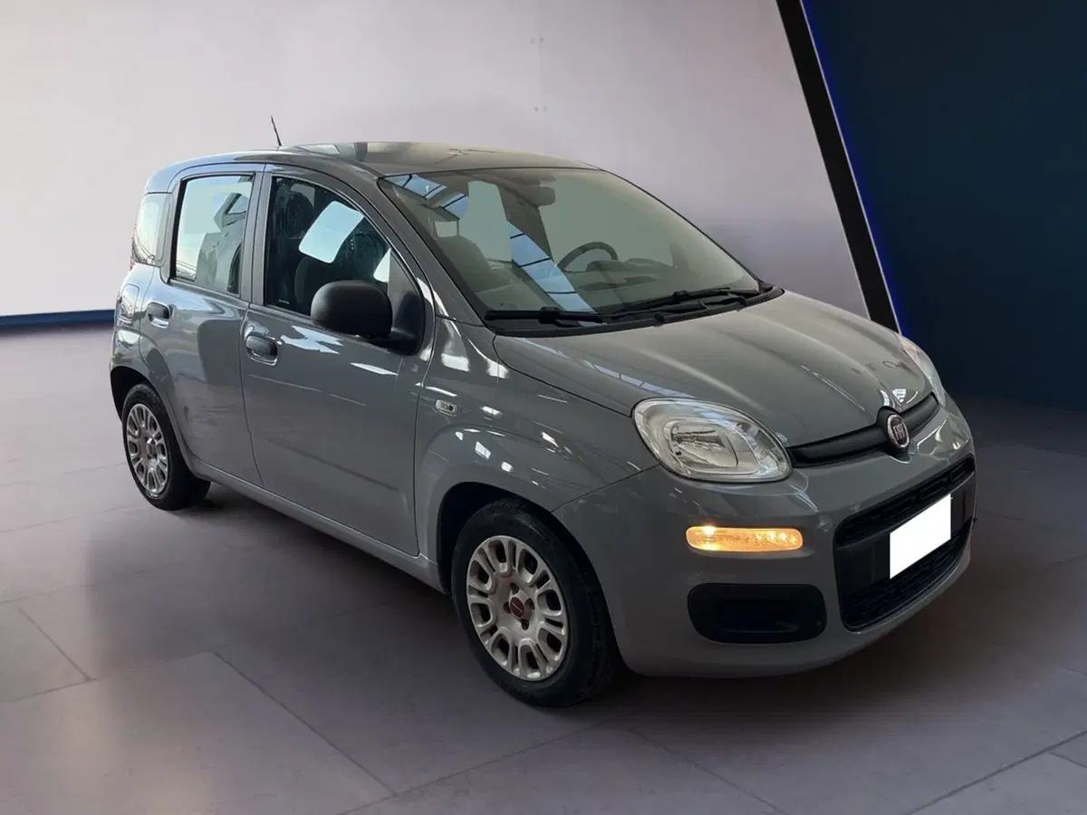 Fiat Panda usata a Torino (3)