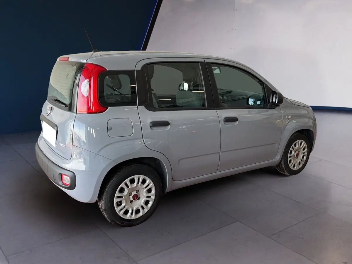 Fiat Panda usata a Torino (4)