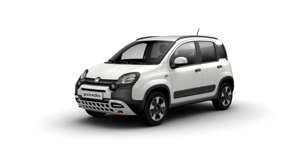 Fiat Pandina nuova a Torino