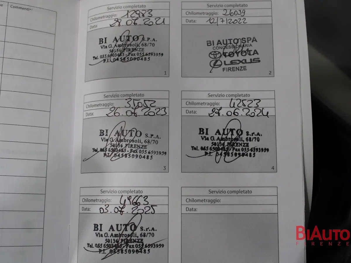 Toyota Rav4 usata a Firenze (17)