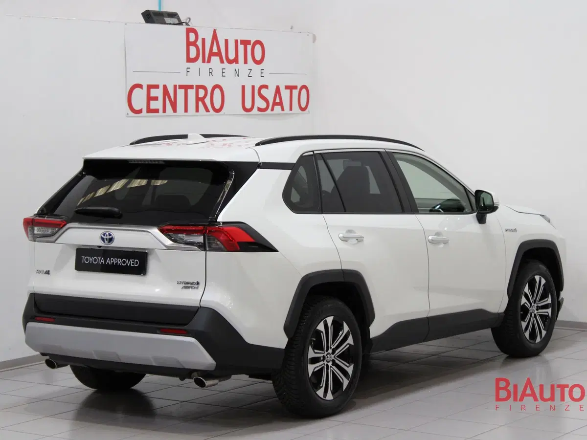 Toyota Rav4 usata a Firenze (3)