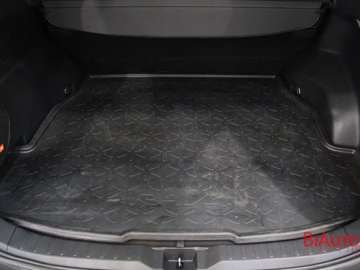 Toyota Rav4 usata a Firenze (9)