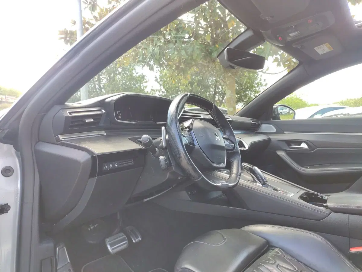 Peugeot 508 SW usata a Benevento (16)
