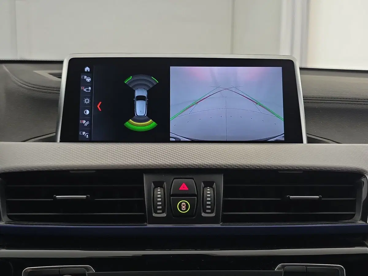 BMW X2 usata a Alessandria (15)