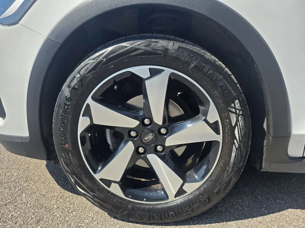 Ford Focus usata a Belluno (14)