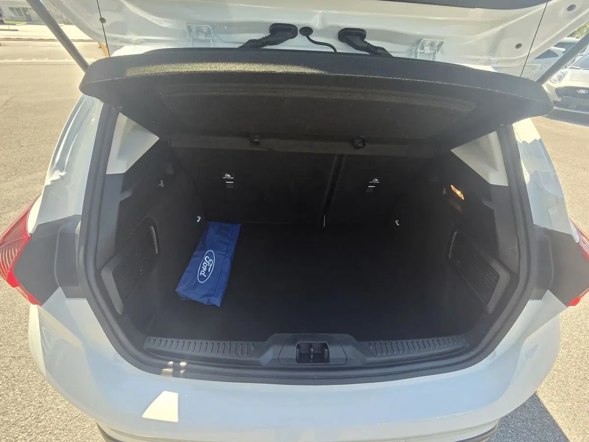 Ford Focus usata a Belluno (6)