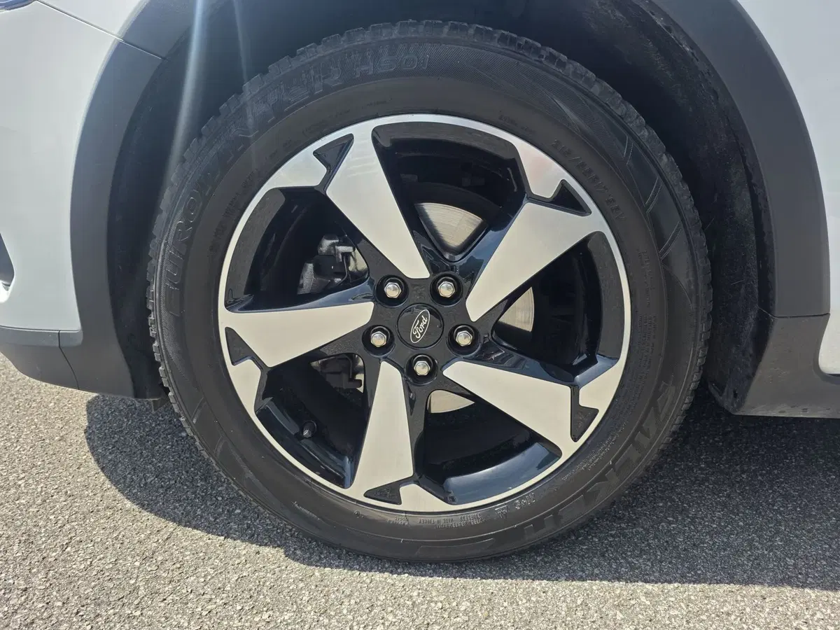 Ford Focus usata a Belluno (13)