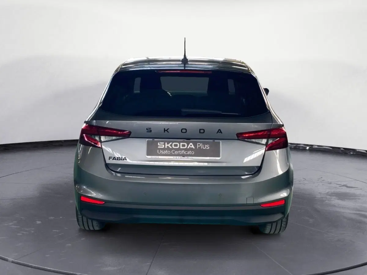 Skoda Fabia usata a Reggio Calabria (6)