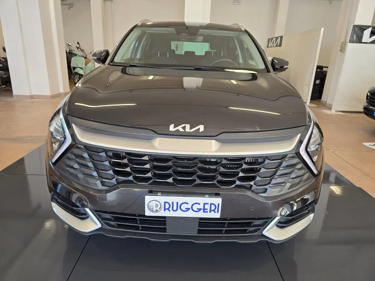 Kia Sportage usata a Rimini (2)