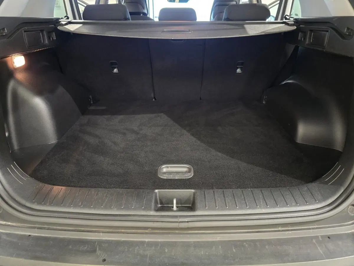 Kia Sportage usata a Rimini (17)