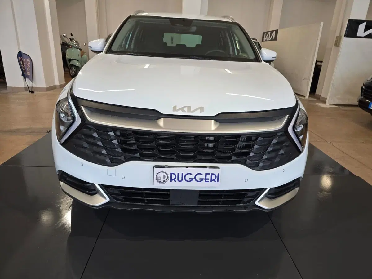 Kia Sportage usata a Rimini (2)