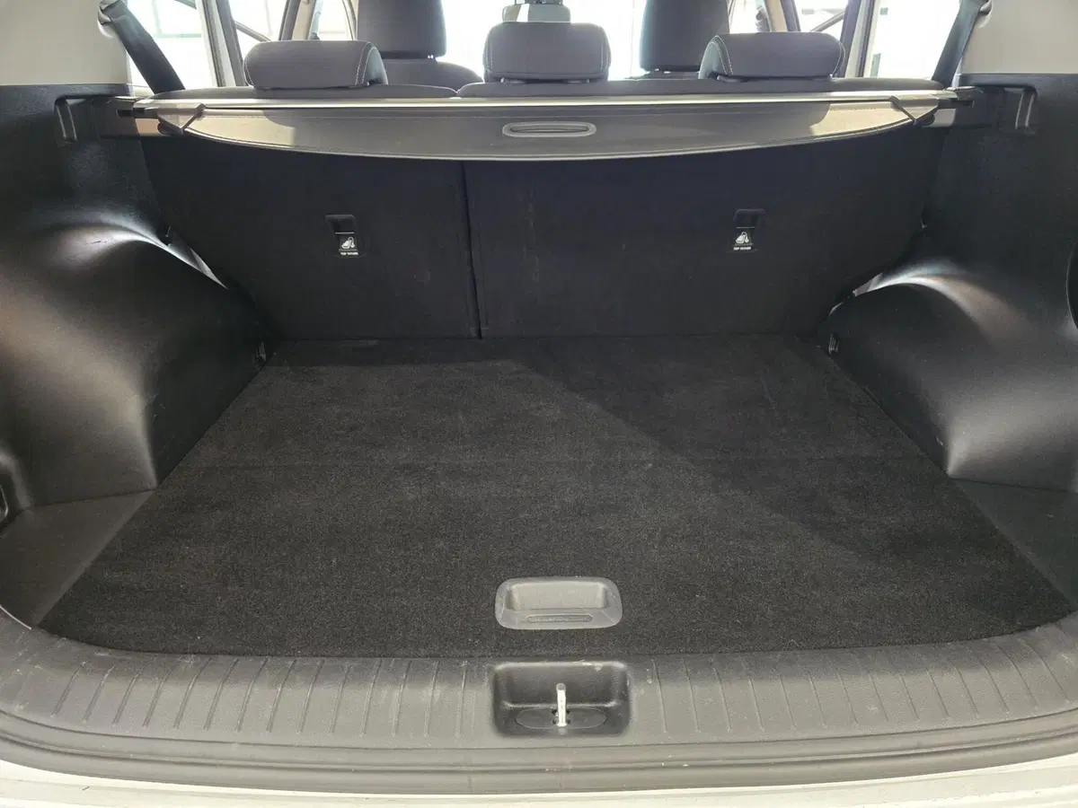 Kia Sportage usata a Rimini (14)