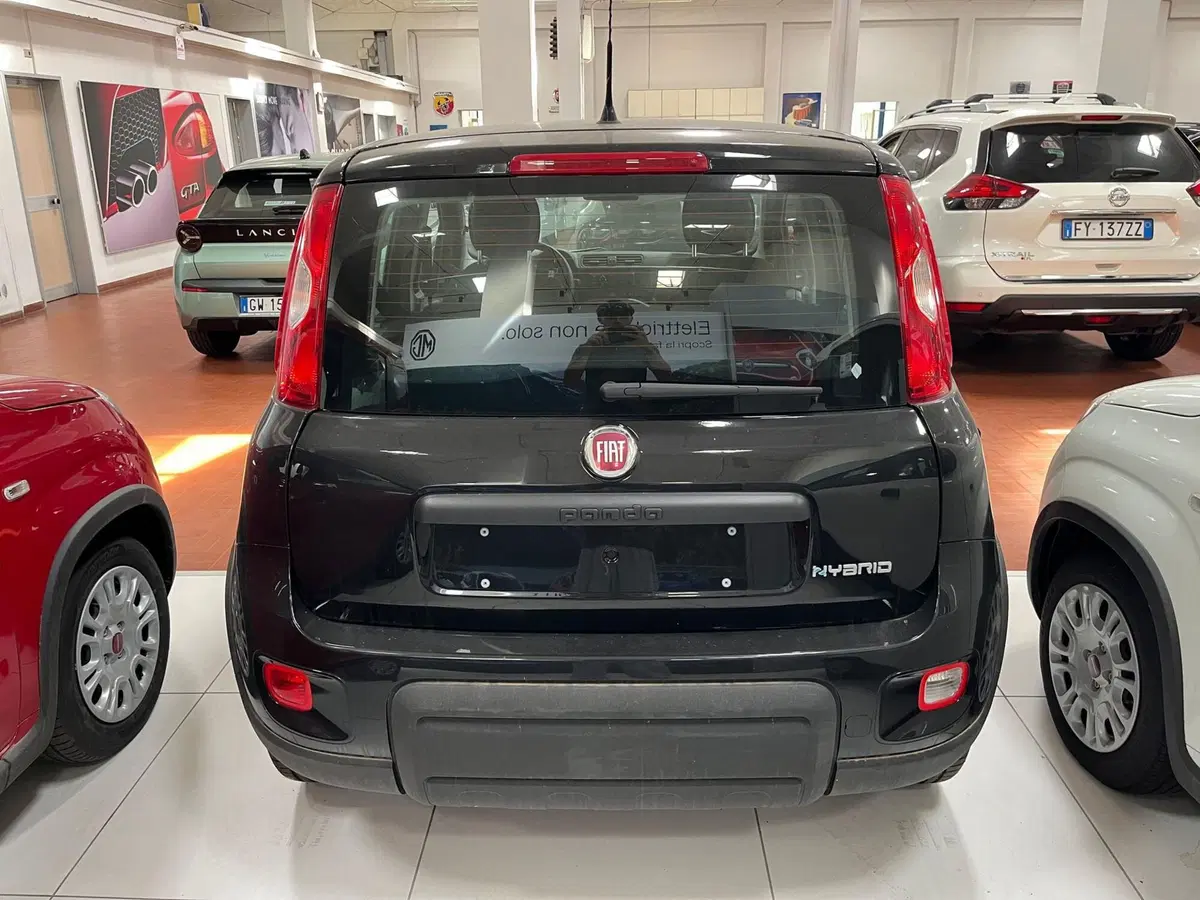 Fiat Panda nuova a Lucca (6)