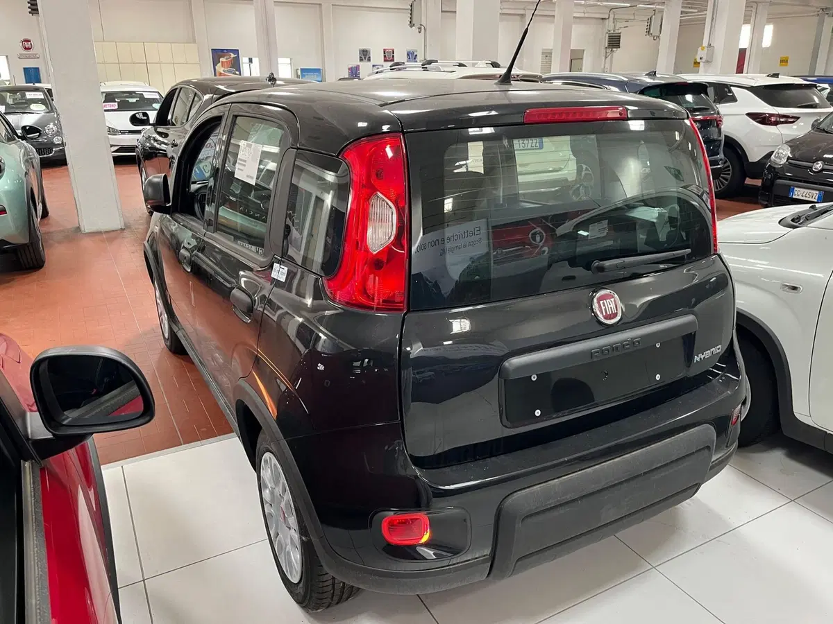 Fiat Panda nuova a Lucca (7)
