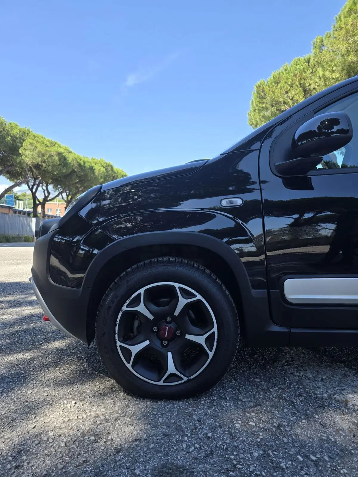Fiat Panda Cross usata a Massa-Carrara (16)